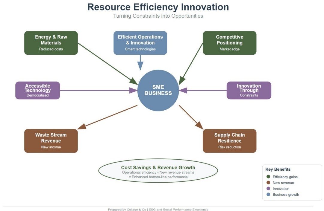 Resource Efficiency and Innovation for Australian SMEs