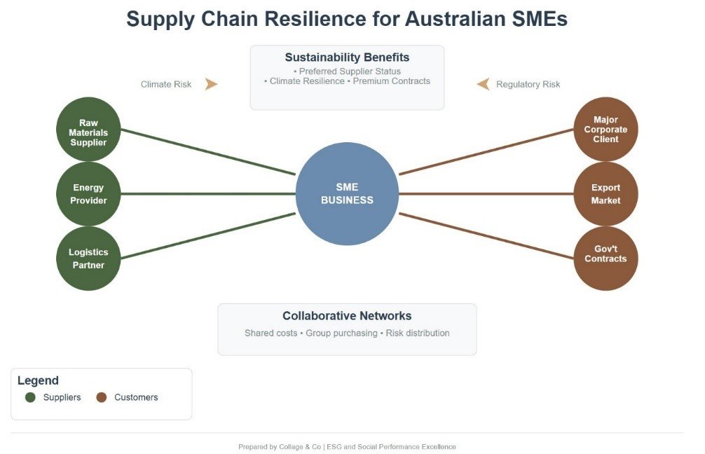 Supply Chain Resilience for Australian SMEs